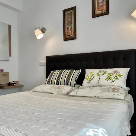 Papagayo Comodo, Bonito, Centrico