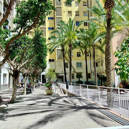 Papagayo Comodo, Bonito, Centrico