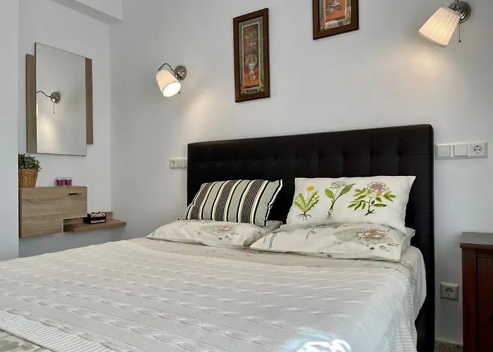 Papagayo Comodo, Bonito, Centrico