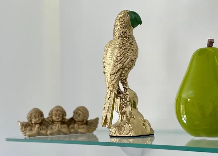 Papagayo Comodo, Bonito, Centrico