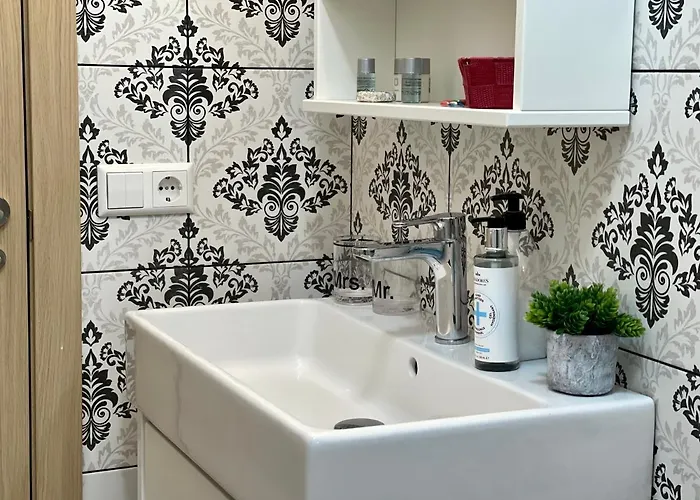 Papagayo Comodo, Bonito, Centrico *