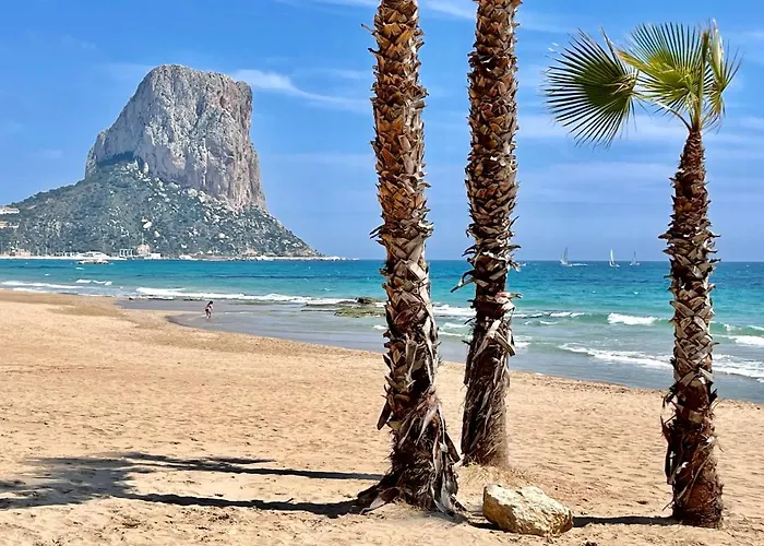 Papagayo Comodo, Bonito, Centrico Calpe