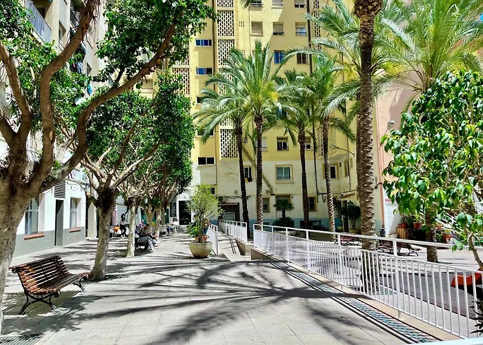 Papagayo Comodo, Bonito, Centrico