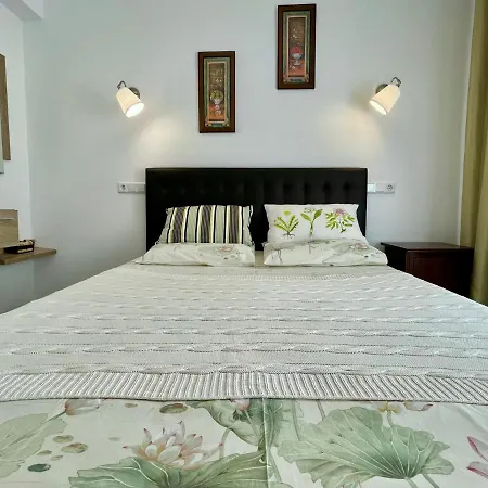 Apartment Papagayo Comodo, Bonito, Centrico